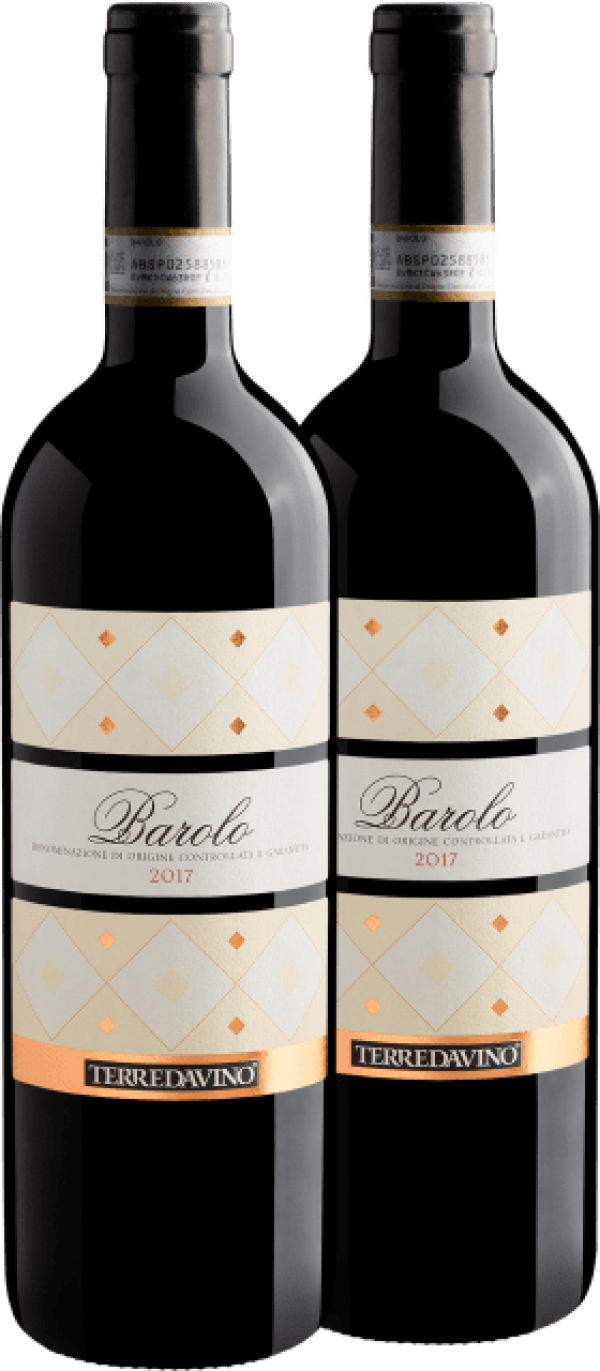 Kit 2 Terre da Vino Barolo DOCG 2017