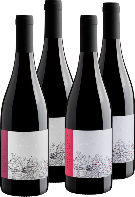 Kit Canceddi Vinhos Tintos: 2 Syrahs + 2 Nero D'Avolas