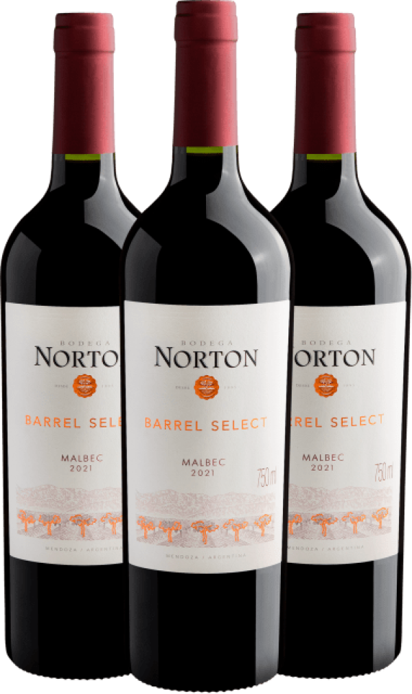 Kit Norton Barrel Select Malbec 2021