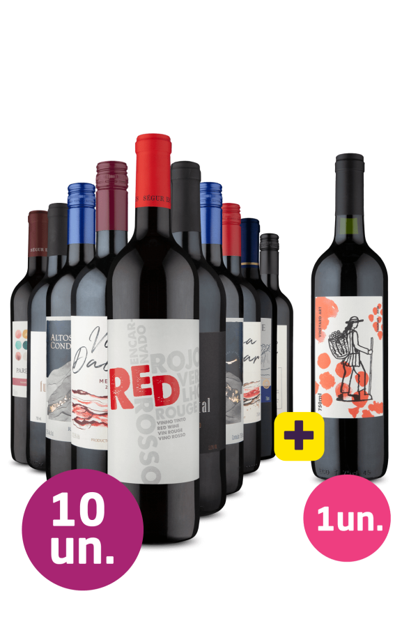 Kit 10 - Tintos + Vineyard Art Tannat Grátis
