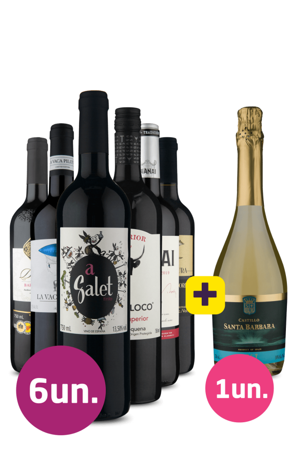Kit 6 - Tintos Espanhóis + Vinho Gaseificado Grátis
