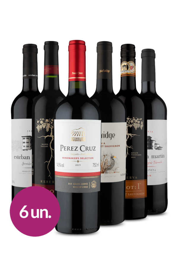 Kit 6 - Tintos Campeões Wine