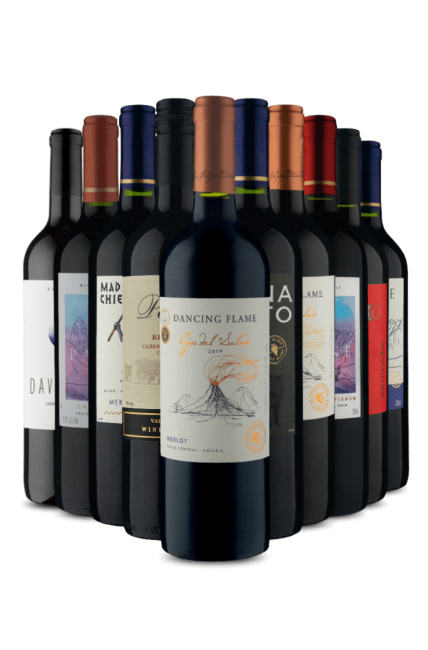 Kit Seleção Melhores Tintos (10 Vinhos)