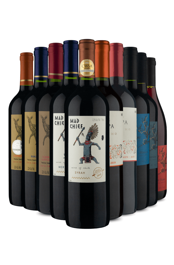 Kit Chile em Tintos Perfeitos (10 Vinhos)