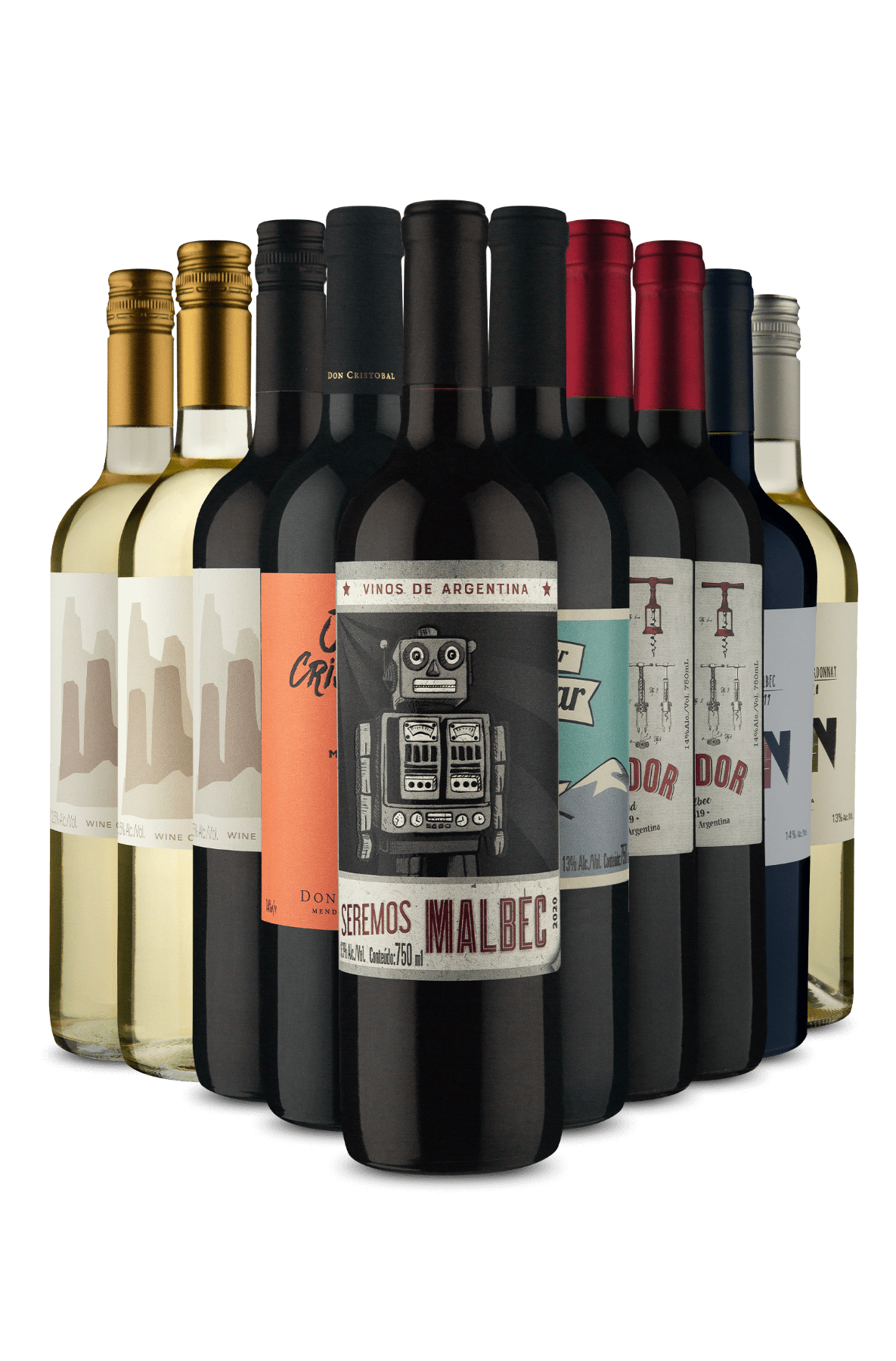 Kit Degustação Argentina (10 Vinhos)