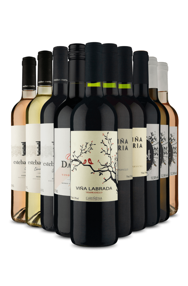 Kit O Melhor da Espanha (10 Vinhos)