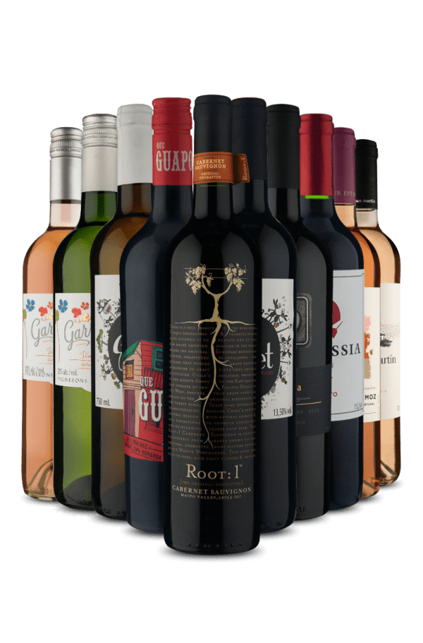 Kit O Que Tem de Melhor (10 Vinhos)