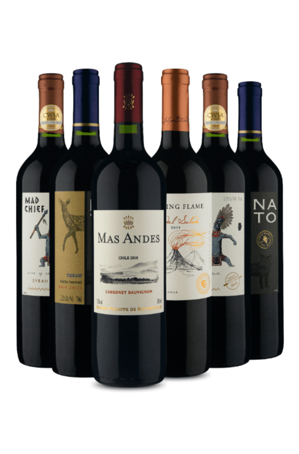 Kit 6 vinhos Chilenos Selecionados (6 Vinhos)