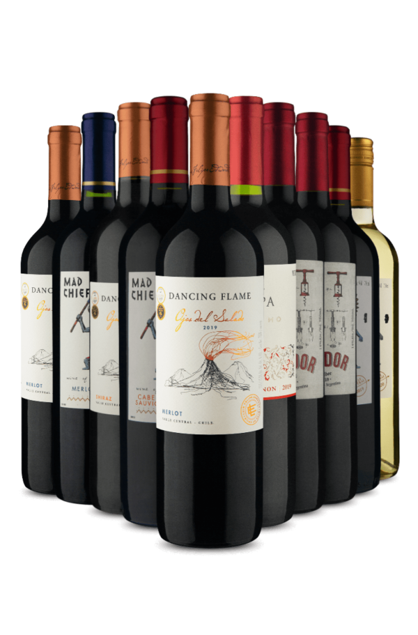 Kit Sul-americanos Incríveis (10 Vinhos)