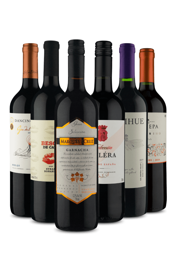Kit 6 Tintos Fantásticos (6 Vinhos)