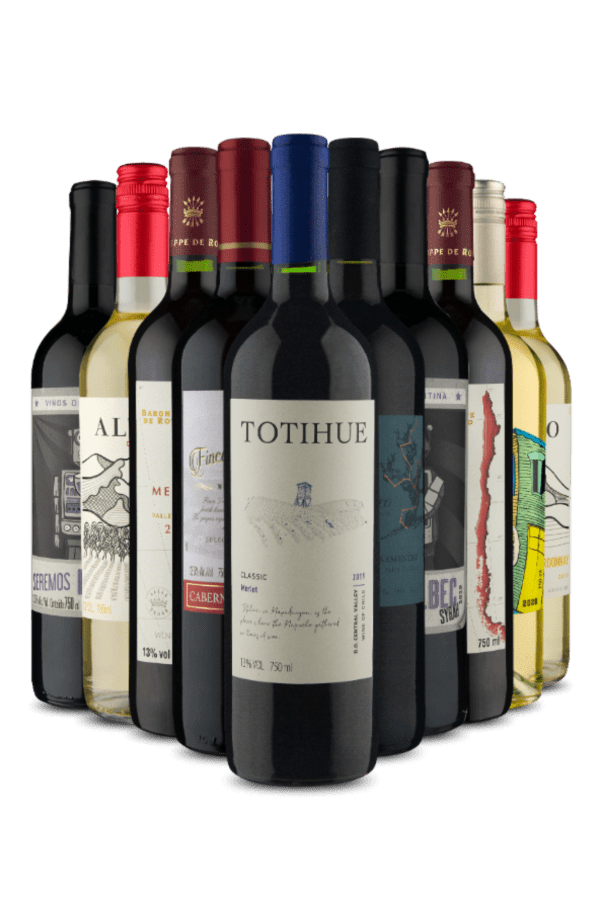 Kit 10 Chilenos e Argentinos (10 Vinhos)