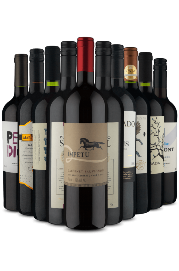 Kit Tintos Variados (10 Vinhos)