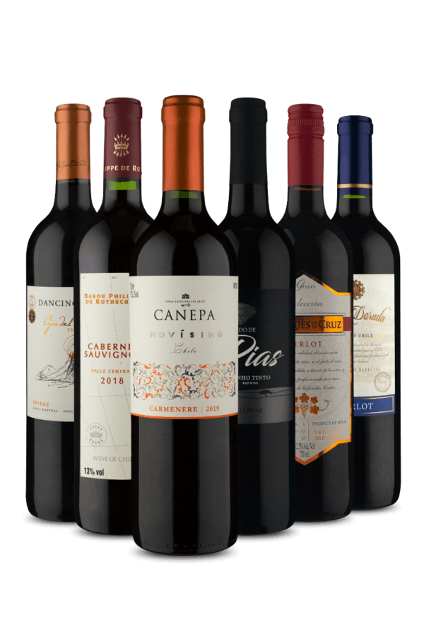 Kit Diversos Tintos (6 Vinhos)