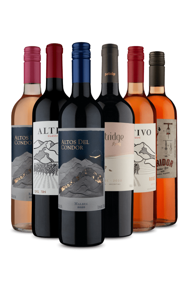 Kit Misturas Argentinas (6 Vinhos)