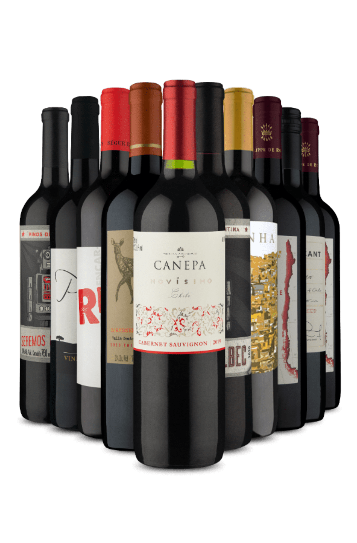 Kit Tintos 5 Secos e 5 Meio Secos (10 Vinhos)