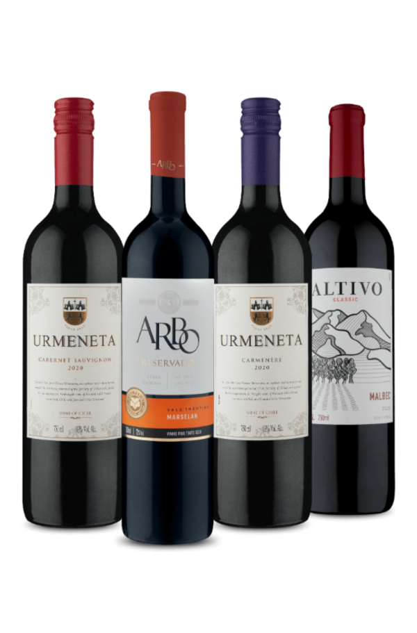 Kit 4 Tintos Sul Americanos (4 Vinhos)