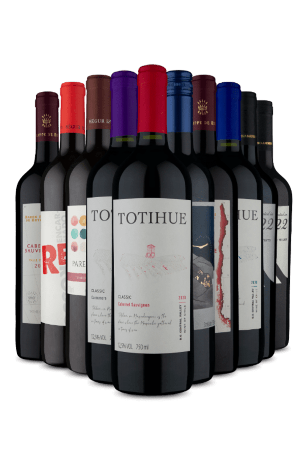 Kit Especial Tintos Secos (10 Vinhos)