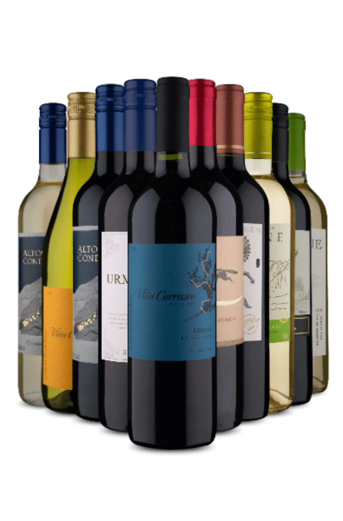 Kit 10 Sabores Inesquecíveis (10 Vinhos)