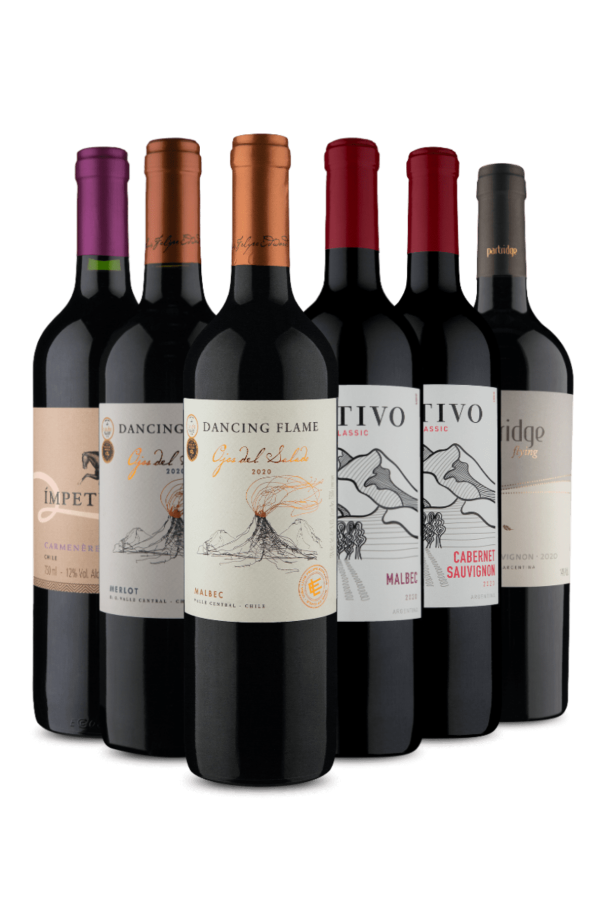 Kit Tintos Argentina e Chile (6 Vinhos)