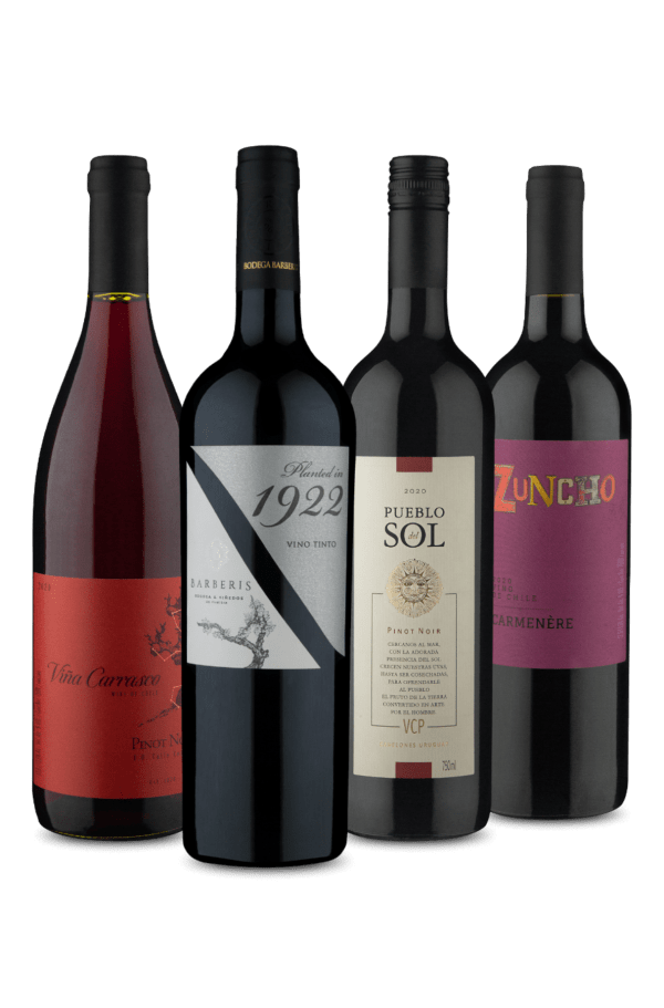 Kit 4 Vinhos Tintos Secos (4 Vinhos)