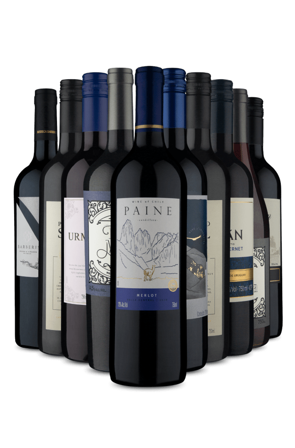 Kit Inverno Com Vinhos Tintos Na Adega (10 Vinhos)