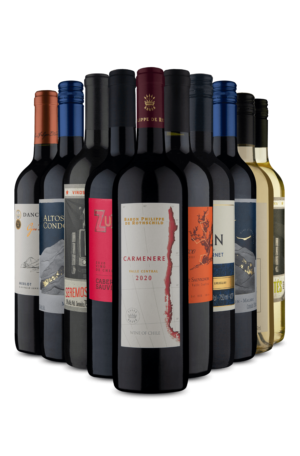 Kit 10 vinhos Tintos e Brancos