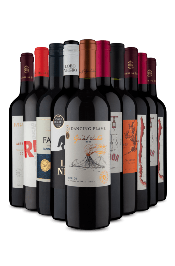 Kit 10 Tintos Especiarias (10 Vinhos)