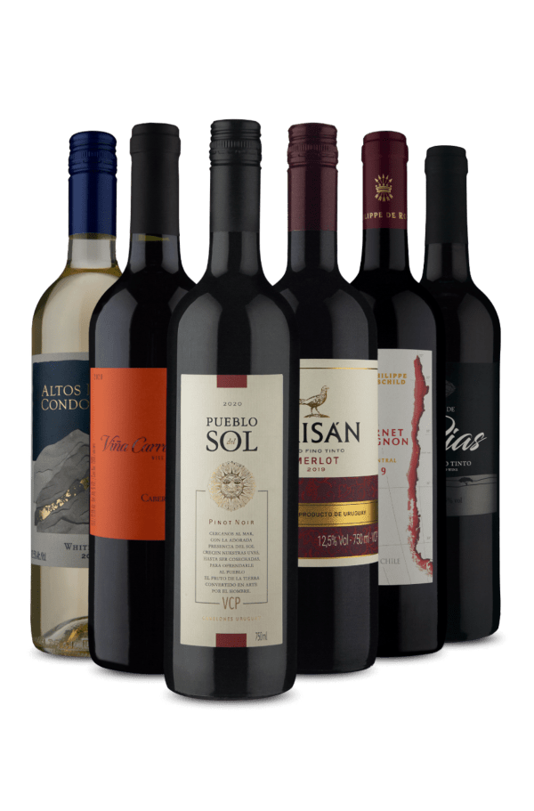 Kit 6 - 5 Tintos e 1 Branco (6 Vinhos)