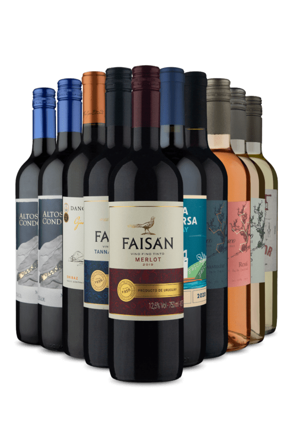 Kit 10 - Chilenos, Argentinos e Uruguaios (10 Vinhos)