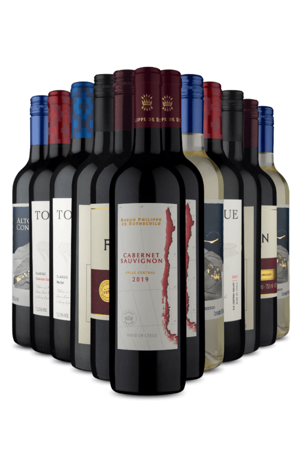 Kit 12 - Maioria Tinto e Preço Baixo (12 Vinhos)