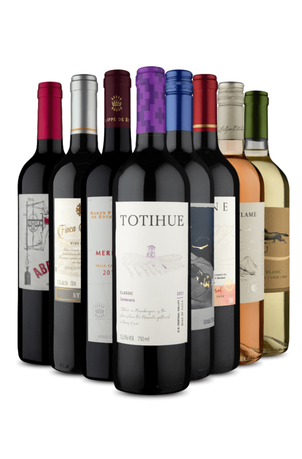 Kit 8 - Maioria Sul-Americanos (8 Vinhos)