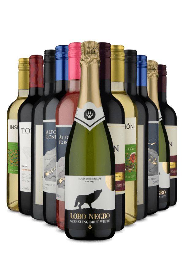 Kit 12 - Tem Seu Gosto (12 Vinhos)
