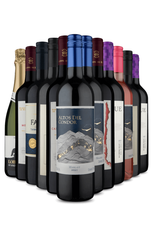 Kit 12 - Preço de Black Friday (12 Vinhos)