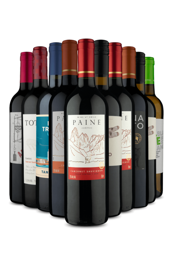 Kit 10 - Os Melhores Tintos Premium (10 Vinhos)