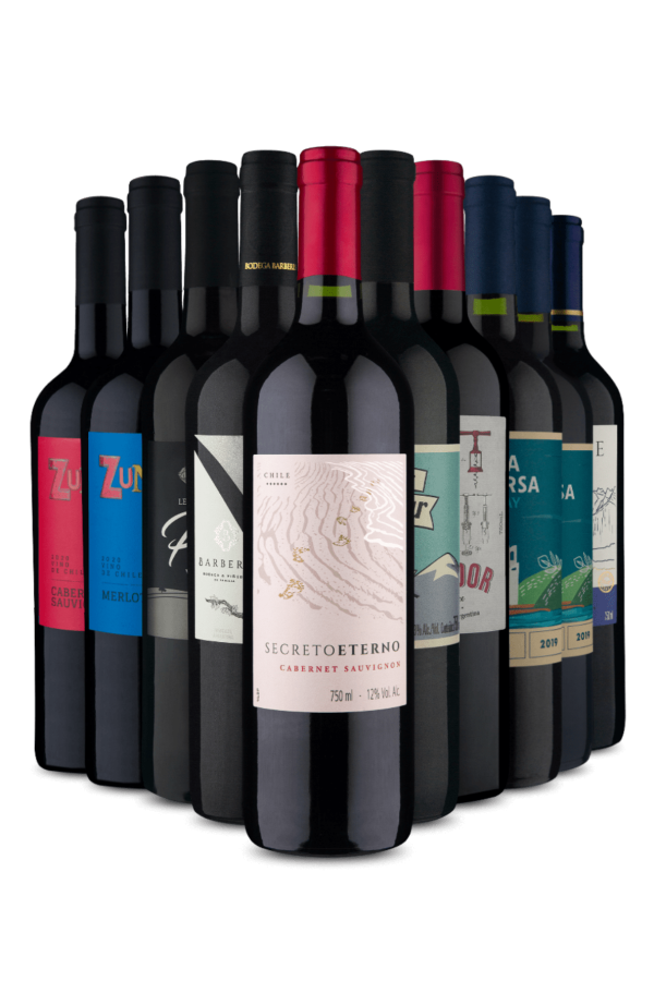 Kit 10 - Sul-Americanos e o Português (10 Vinhos)