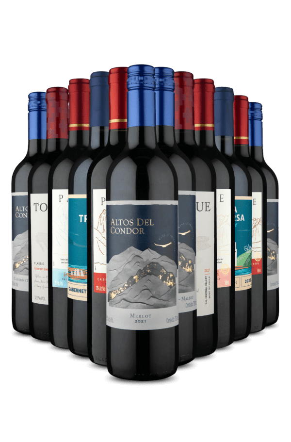 Kit 12 - Tintos em Dobro (12 Vinhos)