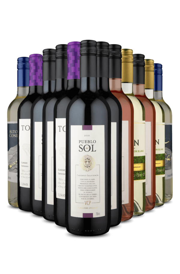 Kit 12 - Duplas do Dia (12 Vinhos)