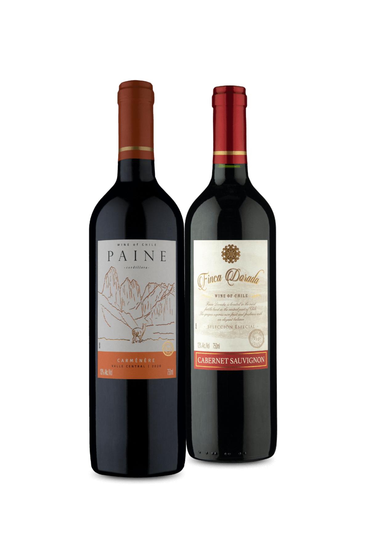 Kit 2 - Favoritos do Chile (2 Vinhos)