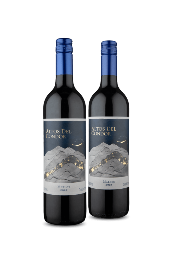 Kit 2 - Dupla de Argentinos Tintos (2 Vinhos)