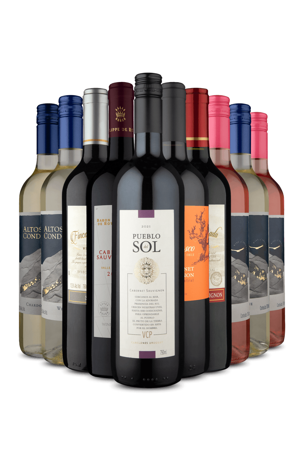 Kit 10 - Tintos e Refrescantes pra Dividir (10 Vinhos)