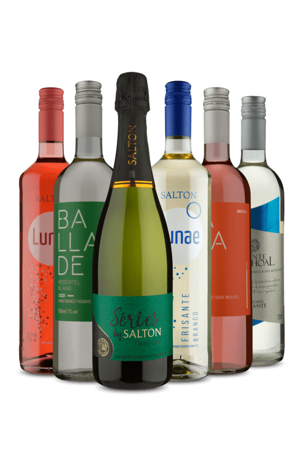 Kit 6 - Salton Demi-Sec Mais Borbulhantes (6 Vinhos)