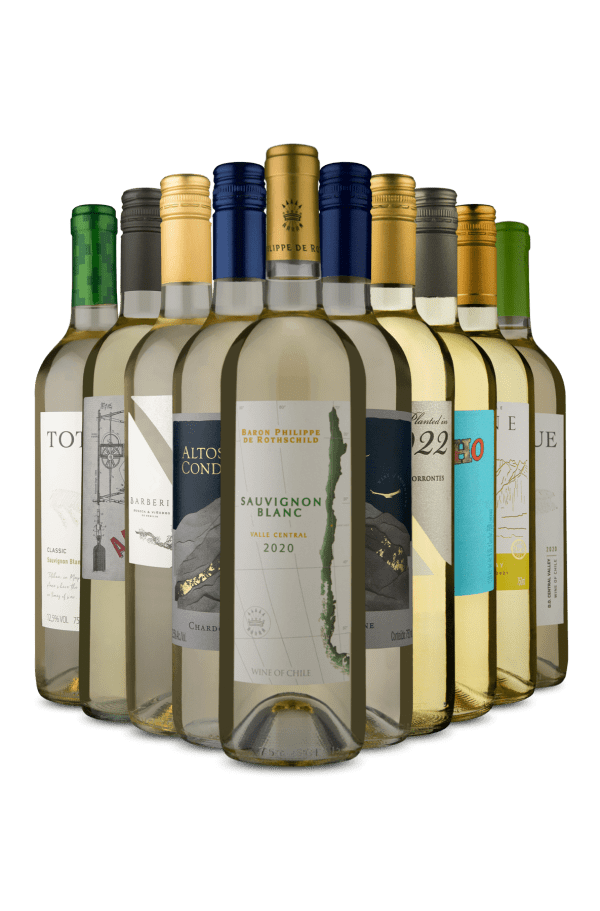 Kit 10 - Chile x Argentina de Brancos (10 Vinhos)