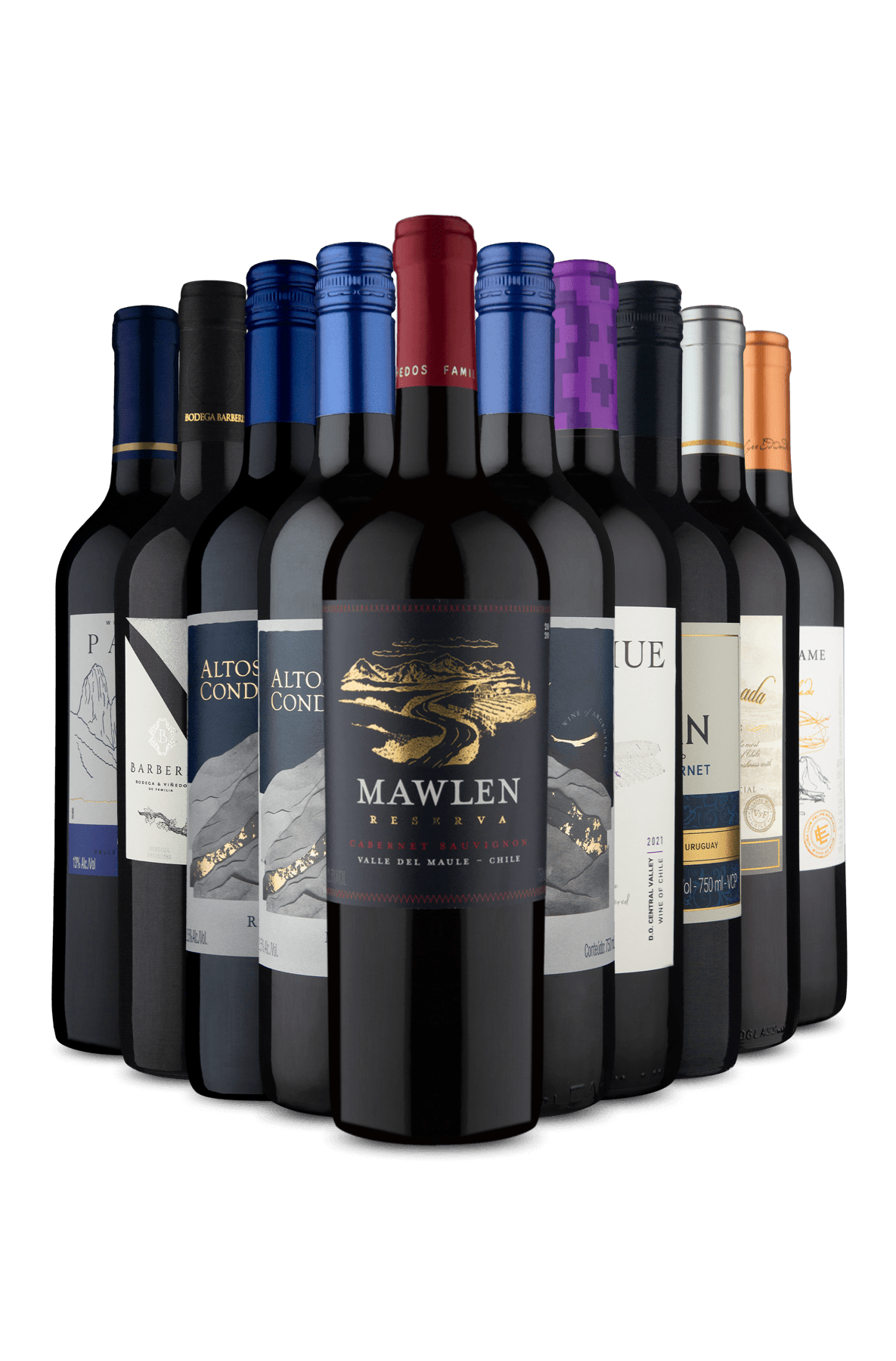 Kit 10 - Reserva Cabernet Sauvignon e Mais Tintos (10 Vinhos)