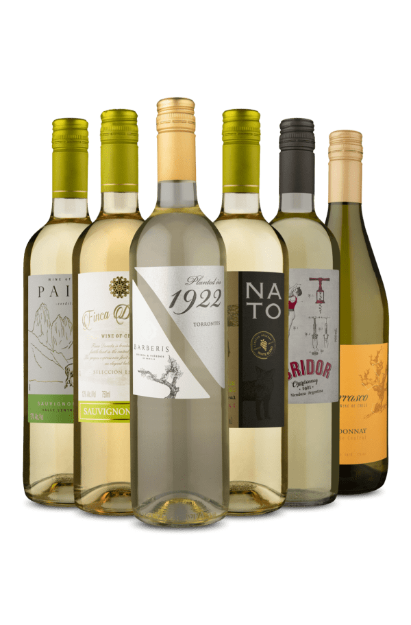 Kit 6 - 4 Chilenos e 2 Argentinos de Brancos (6 Vinhos)