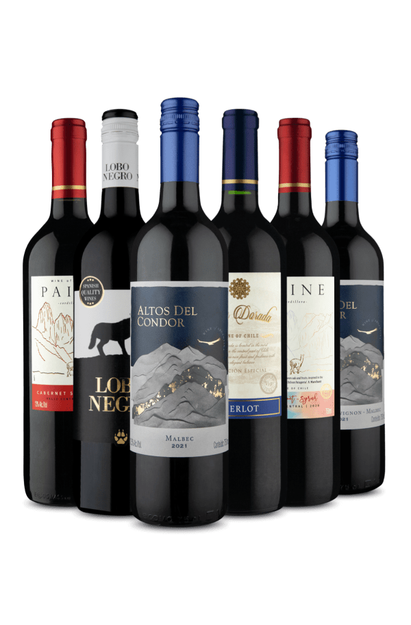 Kit 6 - Tintos Clássicos da America do Sul e o Espanhol (6 Vinhos)