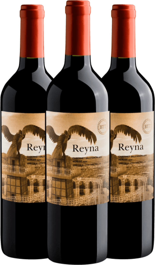 Kit 3 Reyna Cabernet Sauvignon-Merlot Central Valley D.O.