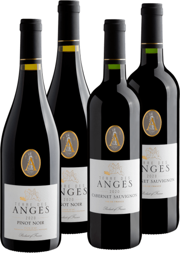 Kit Dobro Terre des Anges Pinot Noir e Cabernet Sauvignon