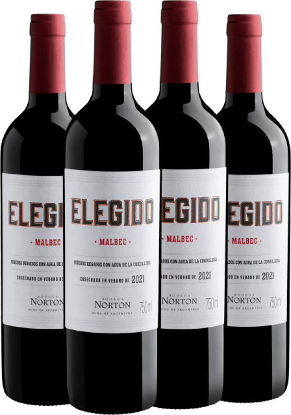Kit 4 Bodega Norton Elegido Malbec