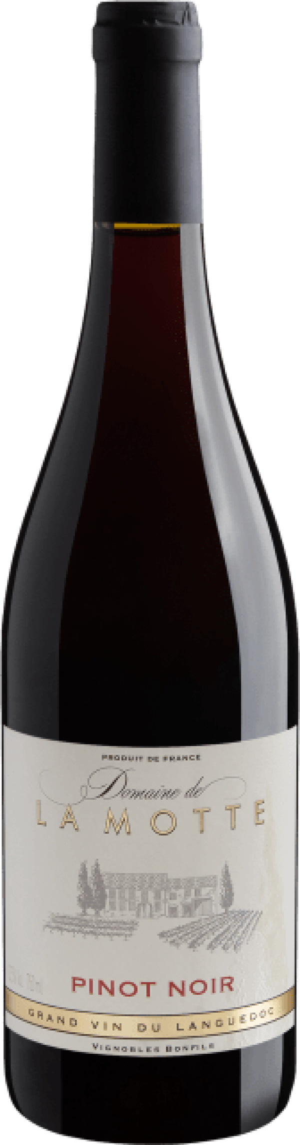 Domaine de La Motte Pinot Noir 2020