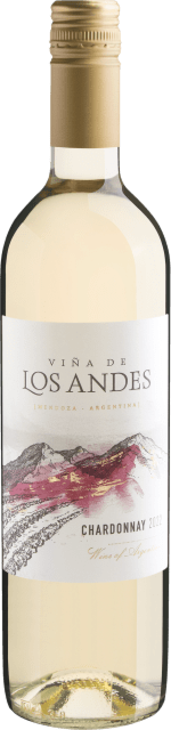 Vinã de Los Andes Chardonnay 2022